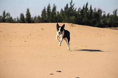 亚克系统亚洲迎接九周年 宣布参展Bilibili World 2025！